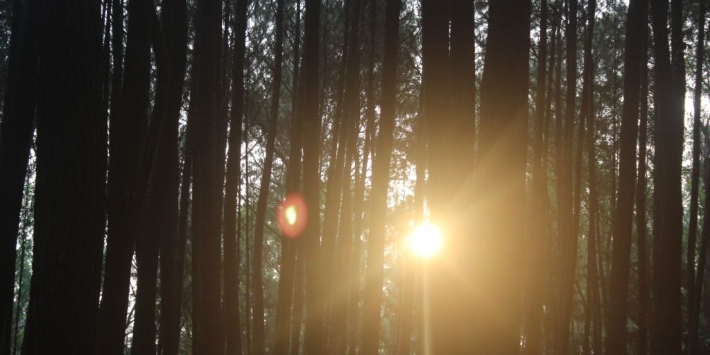 LadyYN's profile banner image