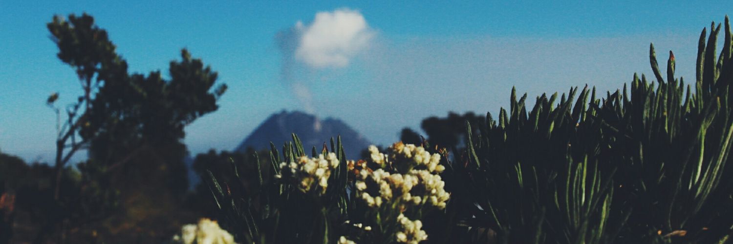 chanisah96's profile banner image