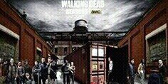 twd_Germany's profile banner image