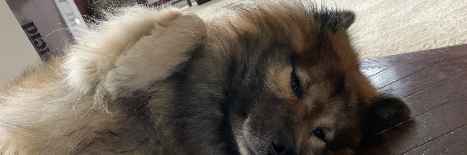 BlackAF1Tim's profile banner image