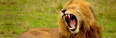 samikhan_01's profile banner image