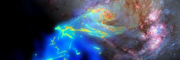 renaudflo Profile Banner