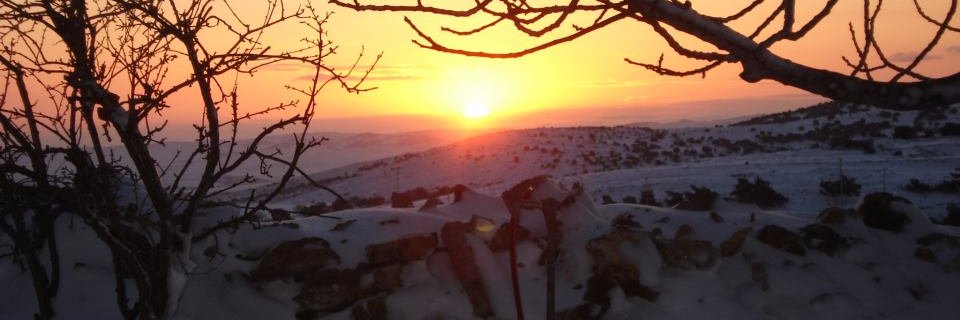 baker7301's profile banner image