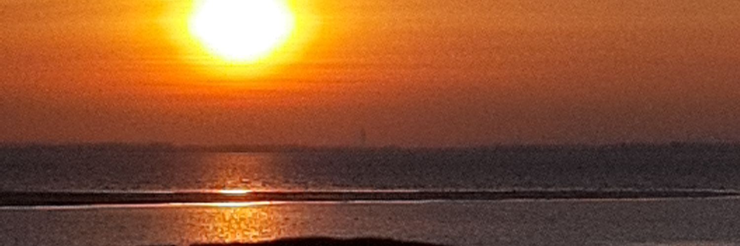 vP0315's profile banner image