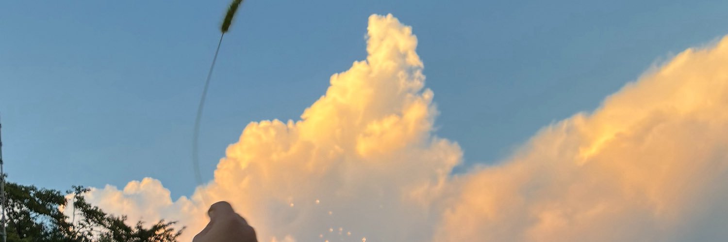 vick_e_y's profile banner image