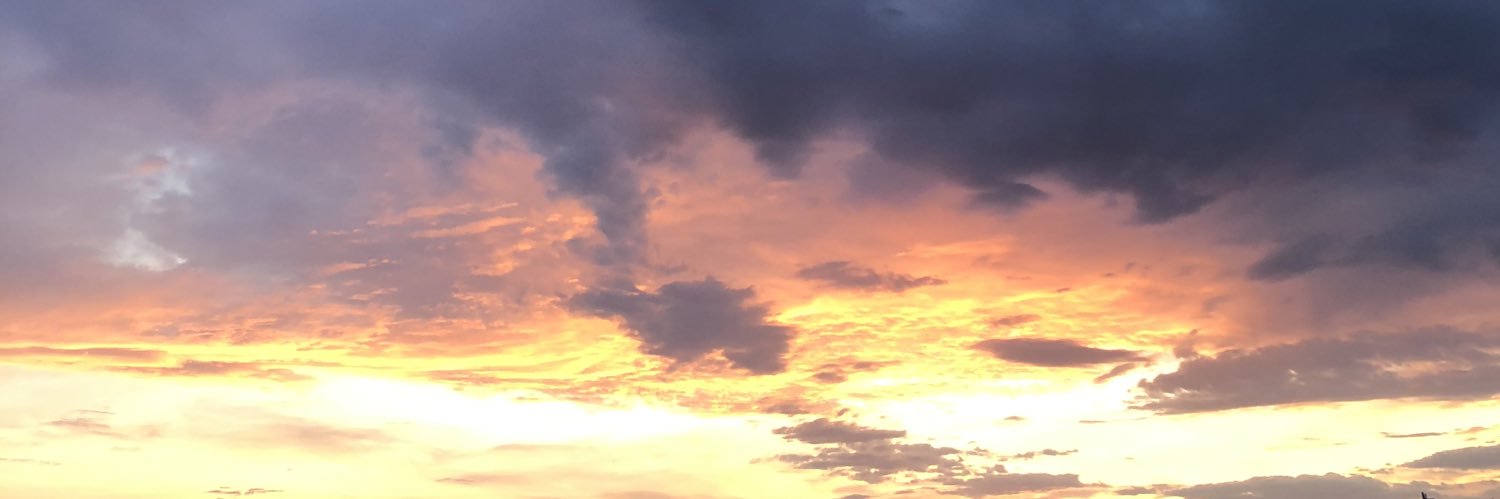 danitenamio's profile banner image