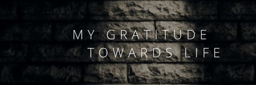 Mayank Goyal banner