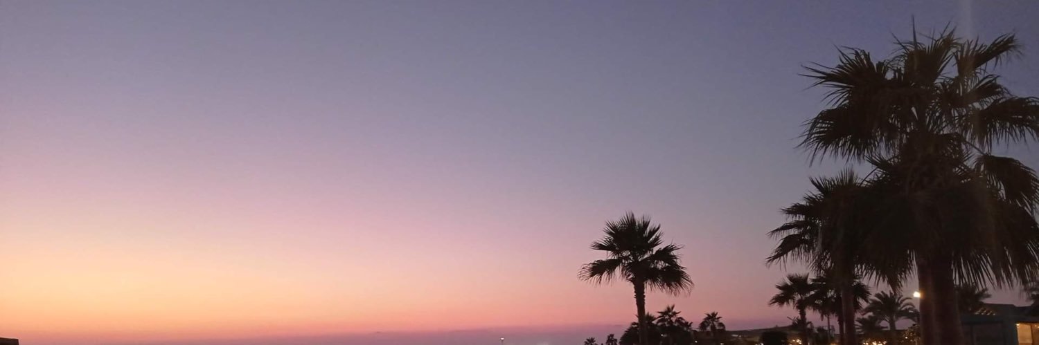 swertsssss's profile banner image