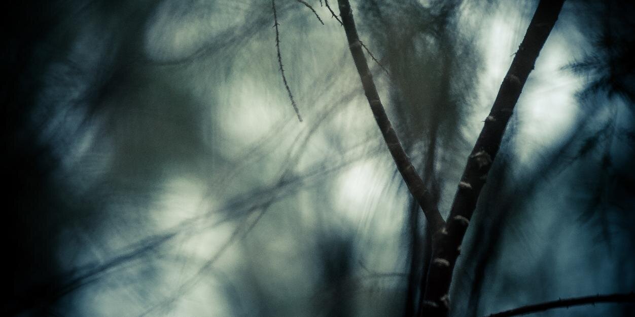 Daniel_DanGers's profile banner image