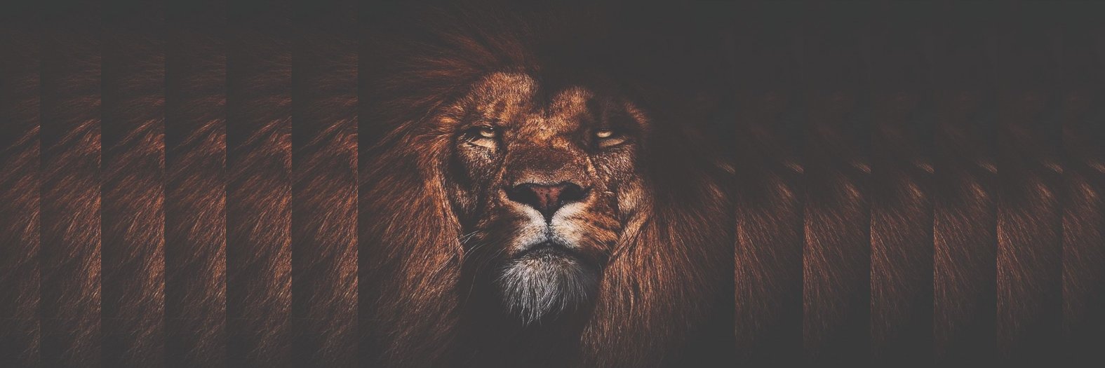 omareat's profile banner image