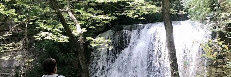 leac92's profile banner image
