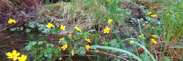 EerikaKK Profile Banner