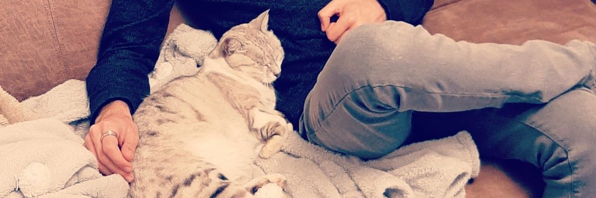 JustTamari's profile banner image