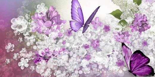 AnneEmpson_'s profile banner image