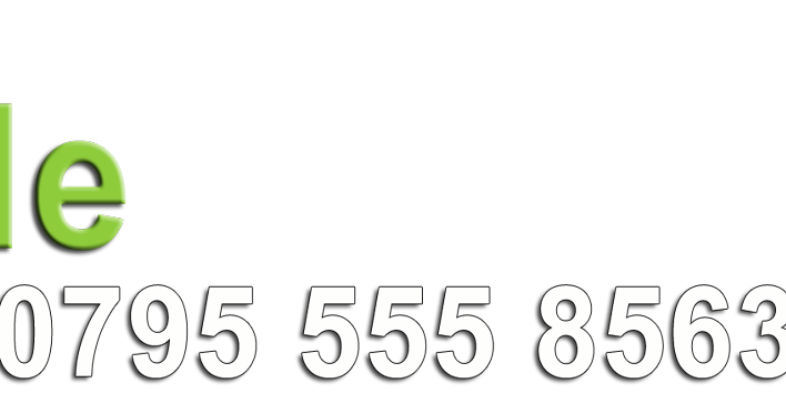 dunndusted1's profile banner image