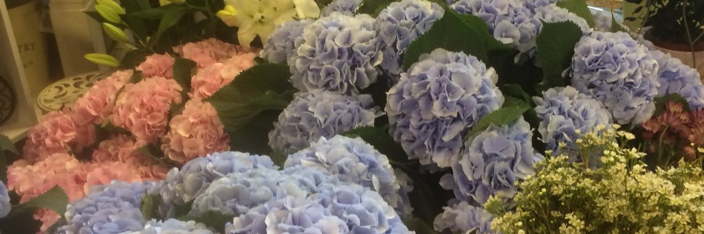 Mrs_Bate's profile banner image