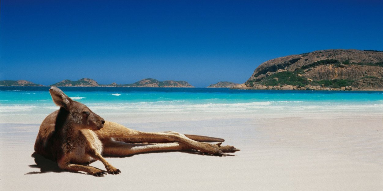 _fairdinkum_'s profile banner image