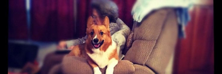 Stephanie 🖤 banner