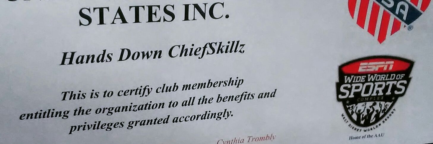 TheChiefSkillz's profile banner image