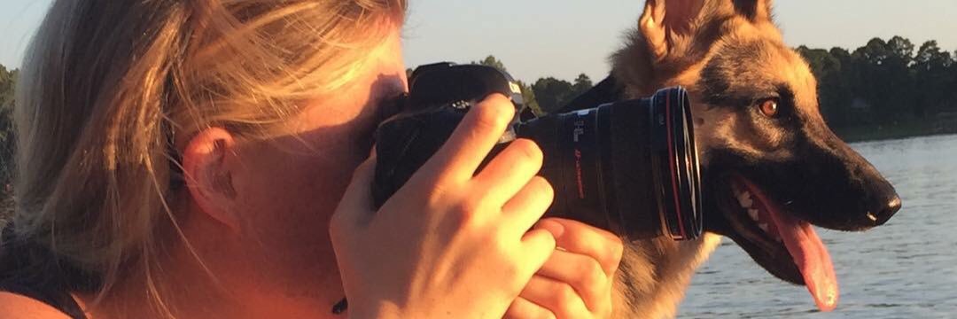 allisonbernhart's profile banner image