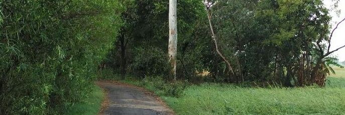 ajaymitul's profile banner image