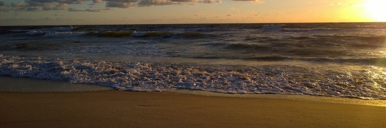 Wiedemuth's profile banner image