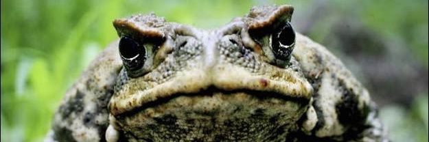 Karen Bradley banner