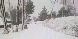 SutantoRoy's profile banner image