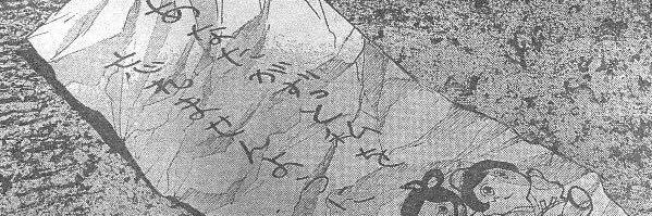 393Kikip's profile banner image