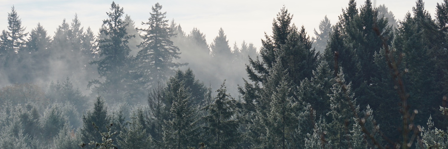 ulku_ba's profile banner image