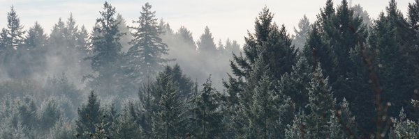 ulku_ba Profile Banner