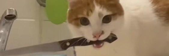 Serial_Gaymer's profile banner image