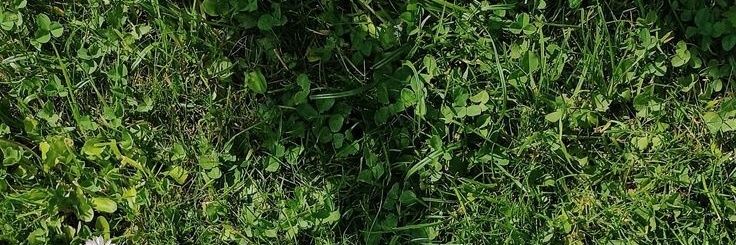 tomzadit_'s profile banner image