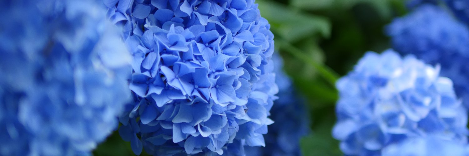amnjk062's profile banner image