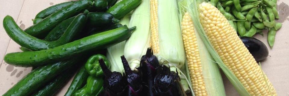 Tomoki Watanabe banner