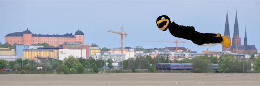 tbselevkar's profile banner image