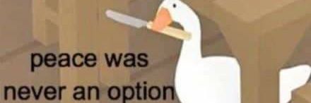 AMurderousDuck's profile banner image