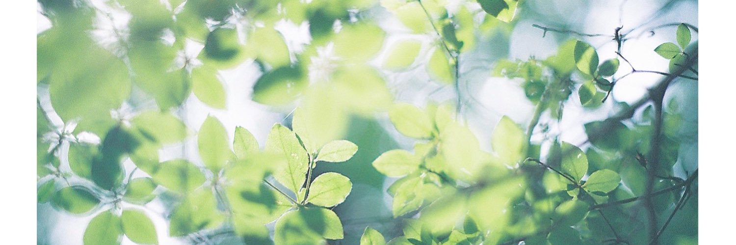 kor_disney's profile banner image