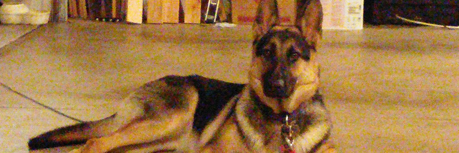 AverageJoeNoBetterThanYou banner