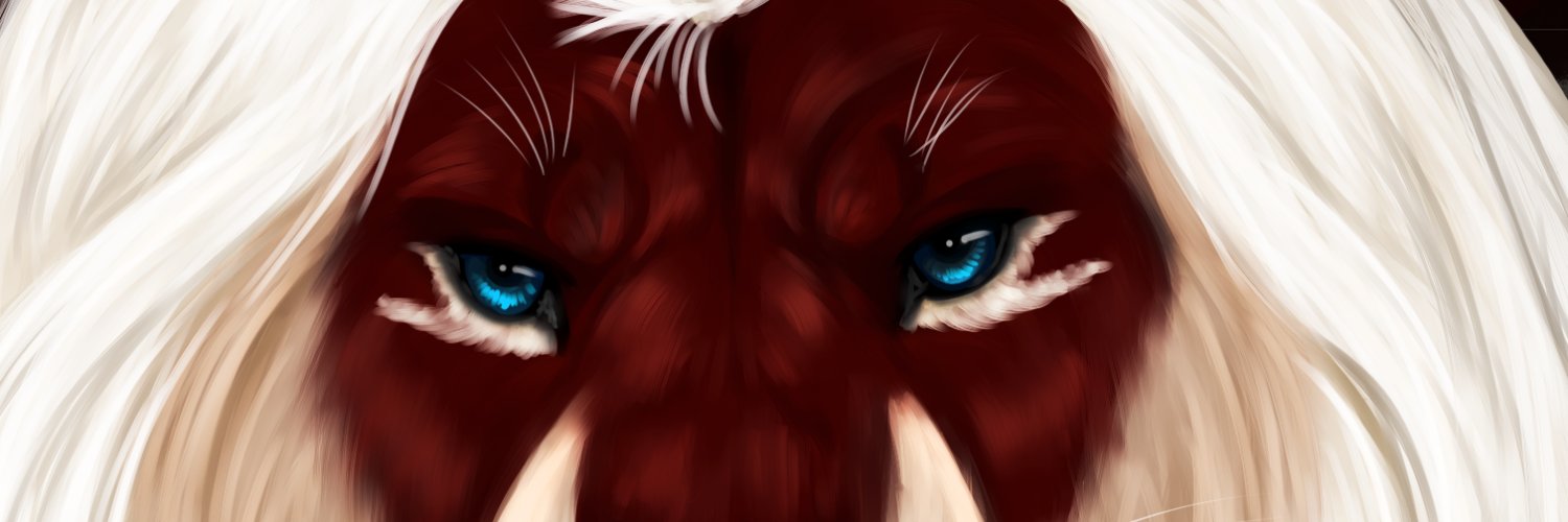 Rourth's profile banner image