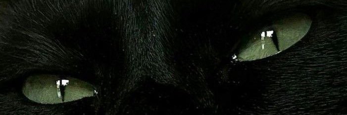 𝙈𝙖𝙝𝙖 banner