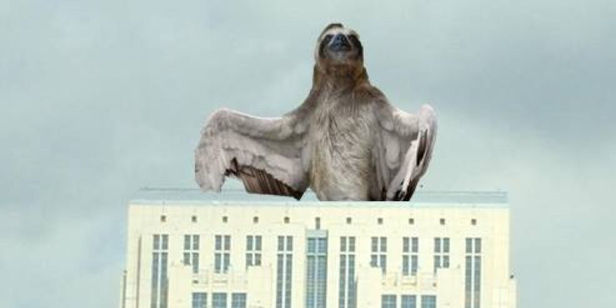 greatslothhawk's profile banner image