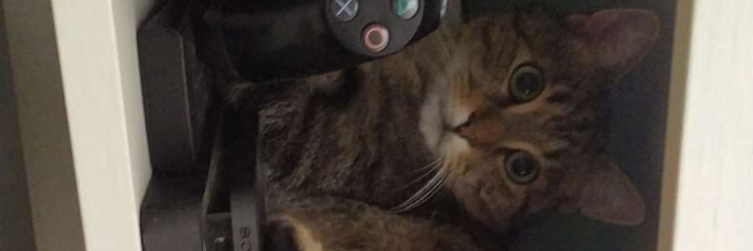 Anthonybfft's profile banner image