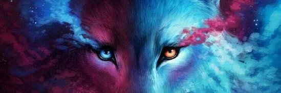 faiskera's profile banner image