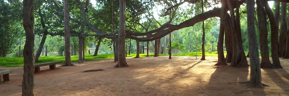 Vishwanth1819's profile banner image