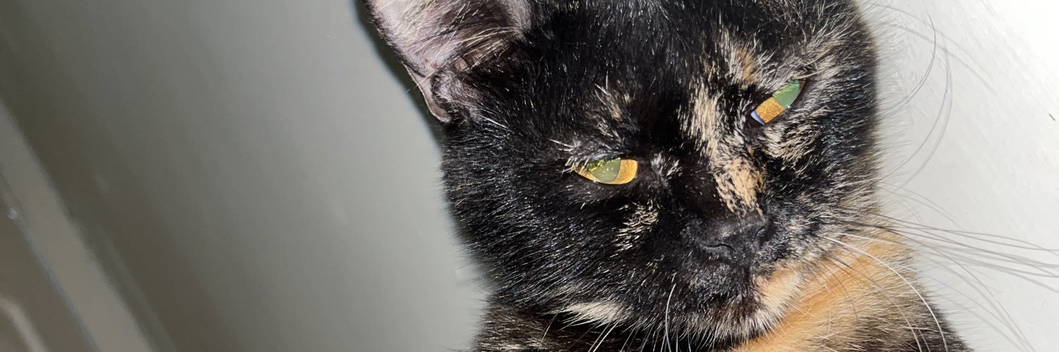 supi_tomcat's profile banner image