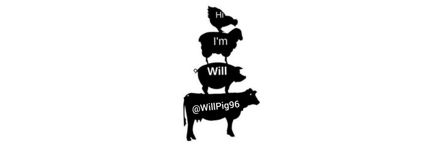 Will Meier banner