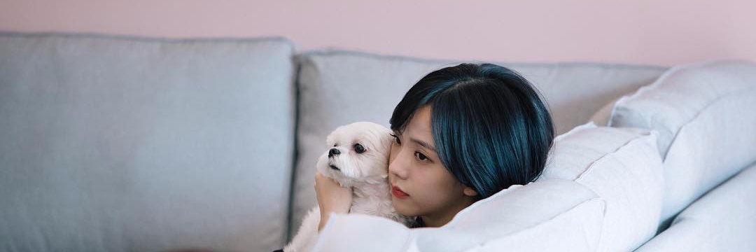 mianraini's profile banner image