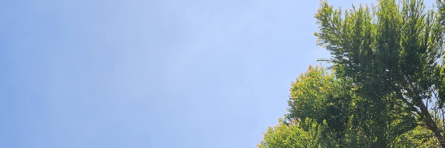 maemoosuntan's profile banner image