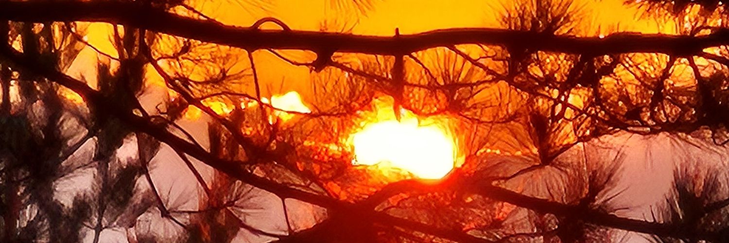 BellezaAzull's profile banner image